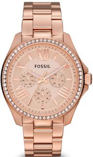 Наручные часы Fossil AM4483