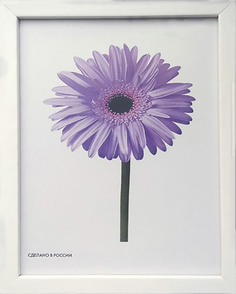 Рамка для картин «Galina» 0117-16-0001 Метрика