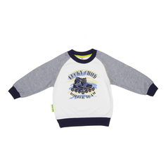 Толстовка детская Lucky Child, серый, р. 116