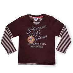 Джемпер для мальчиков (HM) 53265.85 110 Chicco
