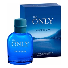 Туалетная вода мужская Christine Lavoisier Parfums The Only Freedom 100 мл