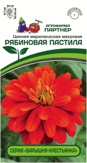 Семена Цинния Партнер Рябиновая пастила 5шт No Brand