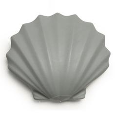 Магнит sea shell Qualy QL10394-GY