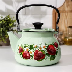 Чайник сферический, 3 л, деколь МИКС, цвет салатовый No Brand