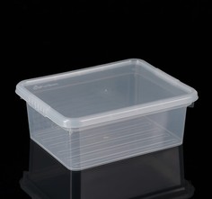 Контейнер для хранения с крышкой Basic, 3 л, 25×20×9 см, цвет прозрачный Funbox