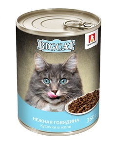 Корм влажный Зоогурман Big Cat для кошек, говядина, в желе, 350 г