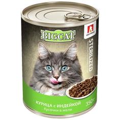 Корм влажный Зоогурман Big Cat для кошек и котят, курица с индейкой, в желе, 350 г