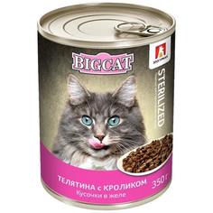 Корм влажный Зоогурман Big Cat для кошек, телятина с кроликом, в желе, 350 г