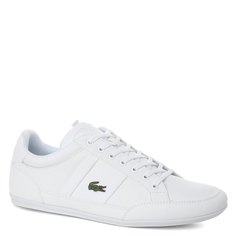 Кроссовки и кеды Lacoste