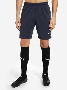 Шорты мужские PUMA Individualrise, Синий