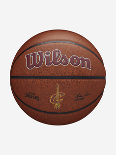 Мяч баскетбольный Wilson NBA Team Alliance Ind Pacers, Коричневый