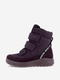 Кеды для девочек ECCO Urban Snowboarder, Фиолетовый