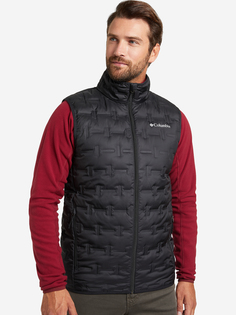 Жилет пуховый мужской Columbia Delta Ridge Down Vest, Черный