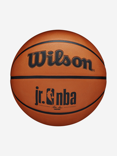 Мяч баскетбольный Wilson, Коричневый