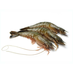 Креветка тигровая с головой 15/25, кг Noname