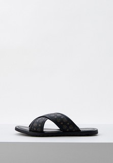 Сланцы Pollini