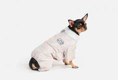 Комбинезон для собак Arnydog
