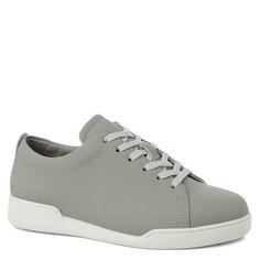 Кроссовки и кеды Tendance