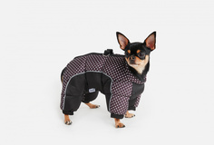 Комбинезон для собак Arnydog