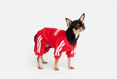 Комбинезон для собак Arnydog