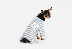 Комбинезон для собак Arnydog