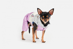 Комбинезон для собак Arnydog