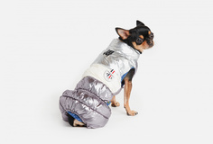 Комбинезон для собак Arnydog