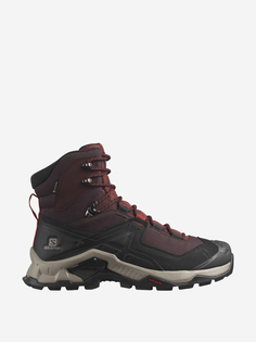 Ботинки мужские Salomon Quest Element GTX, Коричневый