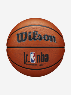Мяч баскетбольный Wilson, Коричневый