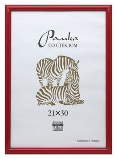 Рамка 514 21х30см пластик красный (701499) No Brand