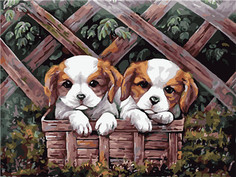 Алмазная мозаика стразами Ripoma Два щенка в деревянном ящике 00114327 30х40 см