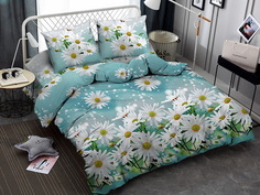 КПБ ЕВРО, Макосатин, Amore Mio BZ QR Daisy