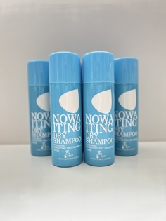 NOWA ITING Сухой шампунь (200гр) Purebess Nowaiting Dry Shampoo Fresh