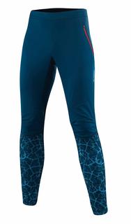 Спортивные брюки мужские Loeffler Frozen Ws Light синие 48