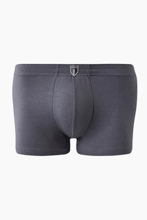 Трусы мужские Innamore IBU34002 Classic серые 5 IT