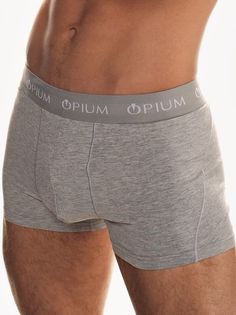 Трусы мужские Opium R-07 серые L