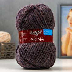 Пряжа Arina (АринаПШ) 50% шерсть, 50% акрил 123м/100гр меланж 12-1 (16261) No Brand