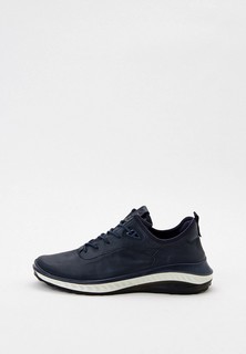Кроссовки Ecco