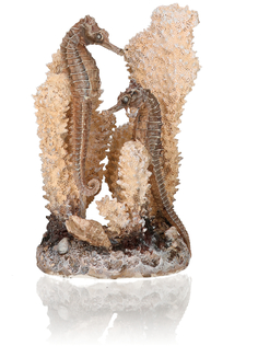 Декоративный элемент biOrb Коралл-морские коньки, seahorses on coral natural S, 14,5см.