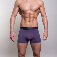 Трусы мужские Salvador Dali SD2040-3 фиолетовые XL