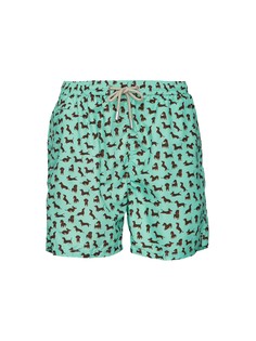 Шорты мужские MC2 Saint Barth LIG0003 зеленые 54 RU