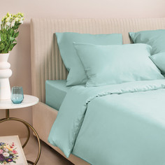 Комплект постельного белья Ecotex Моноспейс 2 сп. нежно-голубой