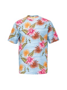 Футболка мужская Scotch&Soda 166058 разноцветная 54 RU