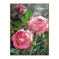 Алмазная мозаика «Королева сада» 30 × 40 см, 34 цвета + наклейка No Brand