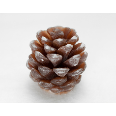 Силиконовая форма для мыла "Шишка-3D маленькая" No Brand