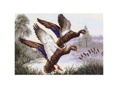 Рисунок на канве Матренин Посад Утиная заводь 1146