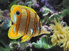 Рисунок на шелке «В поисках Немо» Матренин посад