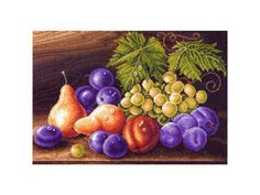 Рисунок на канве «Фруктовая композиция» Матренин посад