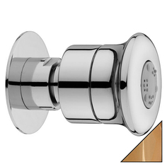 Bossini Душевая форсунка Bossini Onda-Mas I00133 ORO