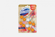 Блок для очищения унитаза Domestos